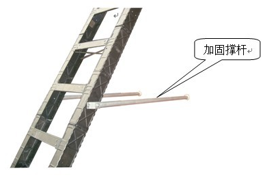 美女的隐藏部位是什么图片