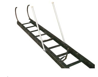 美女的隐藏部位是什么图片