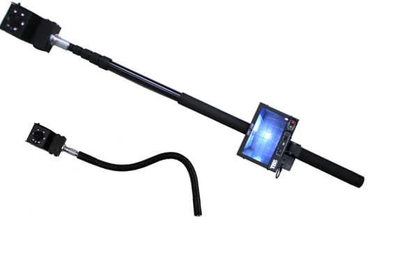 美女的隐藏部位是什么图片