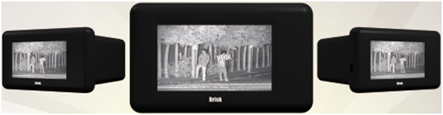 美女的隐藏部位是什么图片