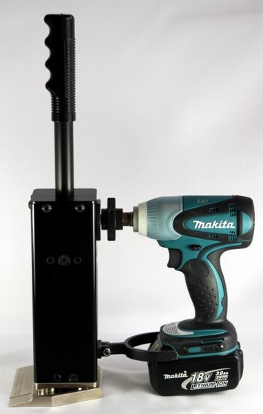 美女的隐藏部位是什么图片