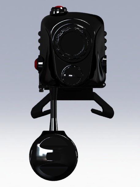 美女的隐藏部位是什么图片