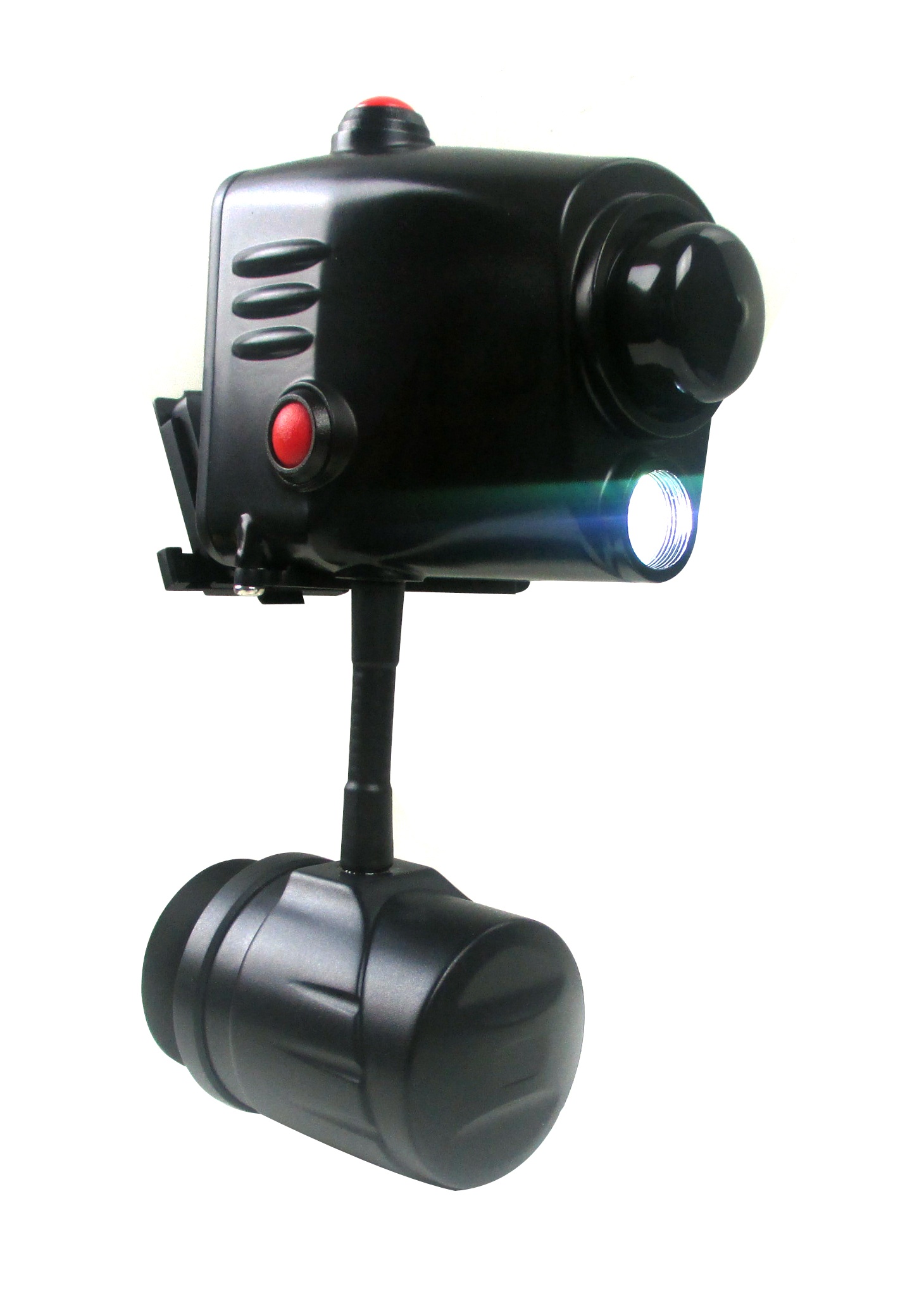 美女的隐藏部位是什么图片