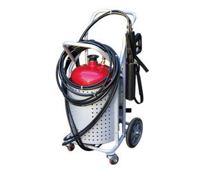 美女的隐藏部位是什么图片