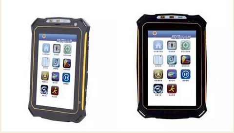 美女的隐藏部位是什么图片