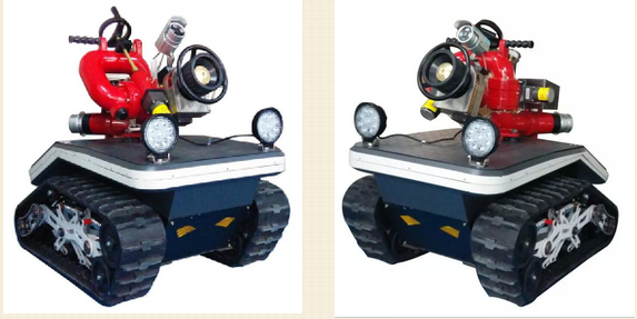 美女的隐藏部位是什么图片