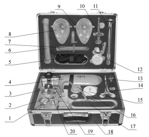 美女的隐藏部位是什么图片