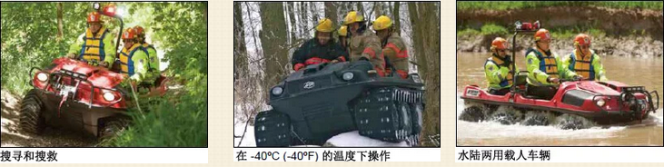 美女的隐藏部位是什么图片