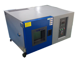 美女的隐藏部位是什么图片