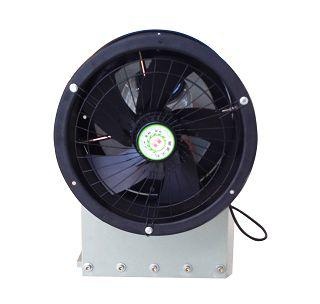 美女的隐藏部位是什么图片