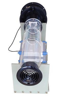 美女的隐藏部位是什么图片