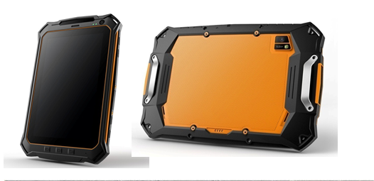 美女的隐藏部位是什么图片