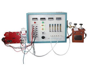 美女的隐藏部位是什么图片