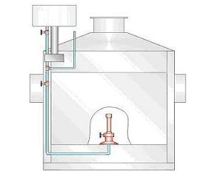 美女的隐藏部位是什么图片