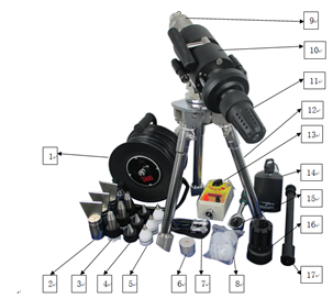 美女的隐藏部位是什么图片