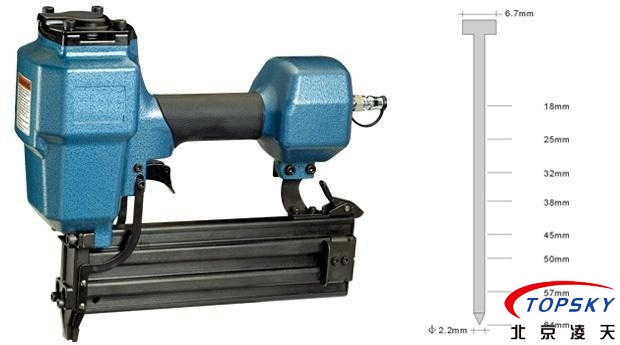 美女的隐藏部位是什么图片