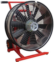 美女的隐藏部位是什么图片