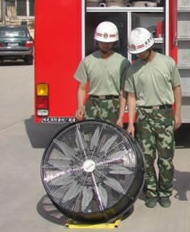 美女的隐藏部位是什么图片