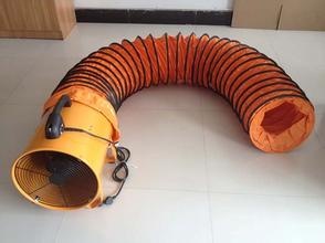 美女的隐藏部位是什么图片