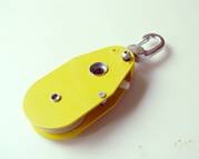 美女的隐藏部位是什么图片