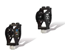 美女的隐藏部位是什么图片