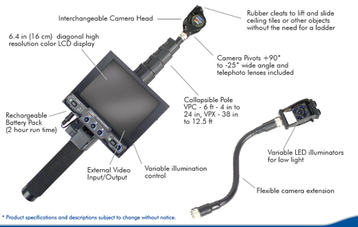 美女的隐藏部位是什么图片