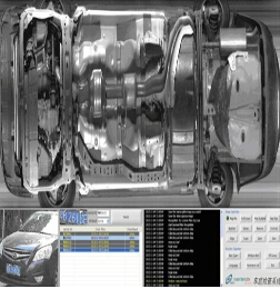 美女的隐藏部位是什么图片