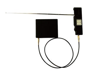 美女的隐藏部位是什么图片