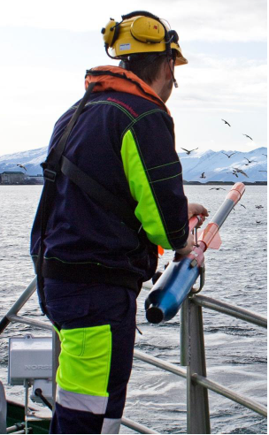 美女的隐藏部位是什么图片