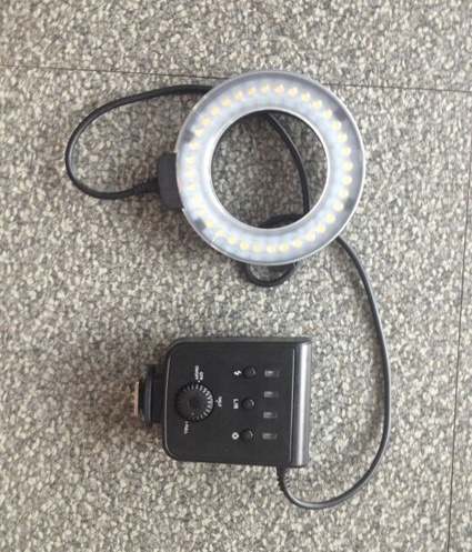 美女的隐藏部位是什么图片