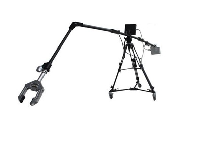 美女的隐藏部位是什么图片