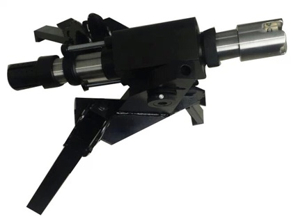 美女的隐藏部位是什么图片