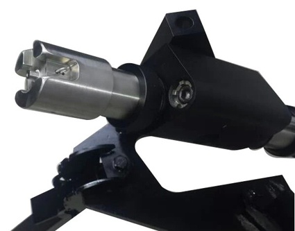 美女的隐藏部位是什么图片