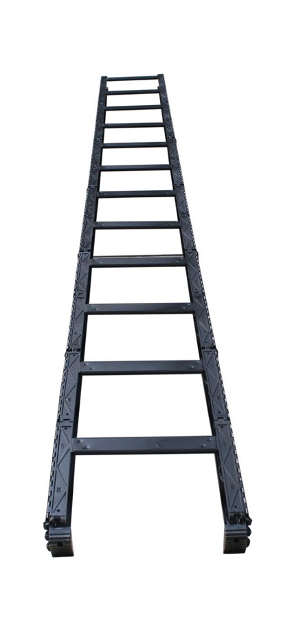 美女的隐藏部位是什么图片