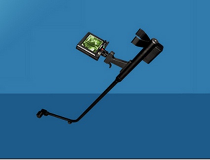 美女的隐藏部位是什么图片