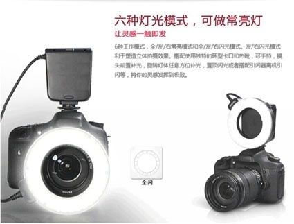 美女的隐藏部位是什么图片