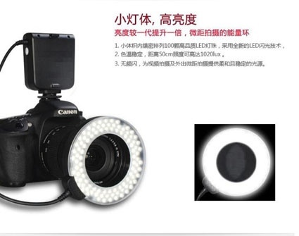 美女的隐藏部位是什么图片