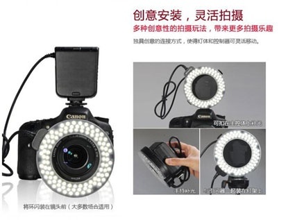 美女的隐藏部位是什么图片