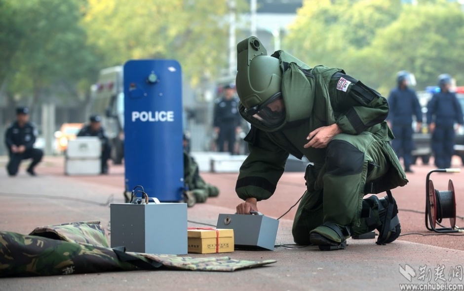 美女的隐藏部位是什么图片