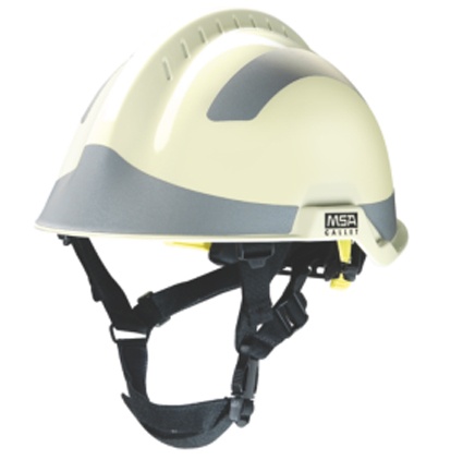 美女的隐藏部位是什么图片