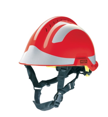 美女的隐藏部位是什么图片