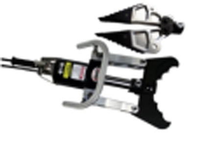 美女的隐藏部位是什么图片