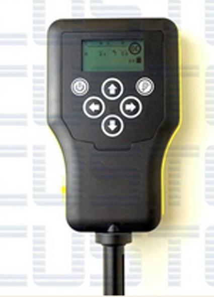 美女的隐藏部位是什么图片