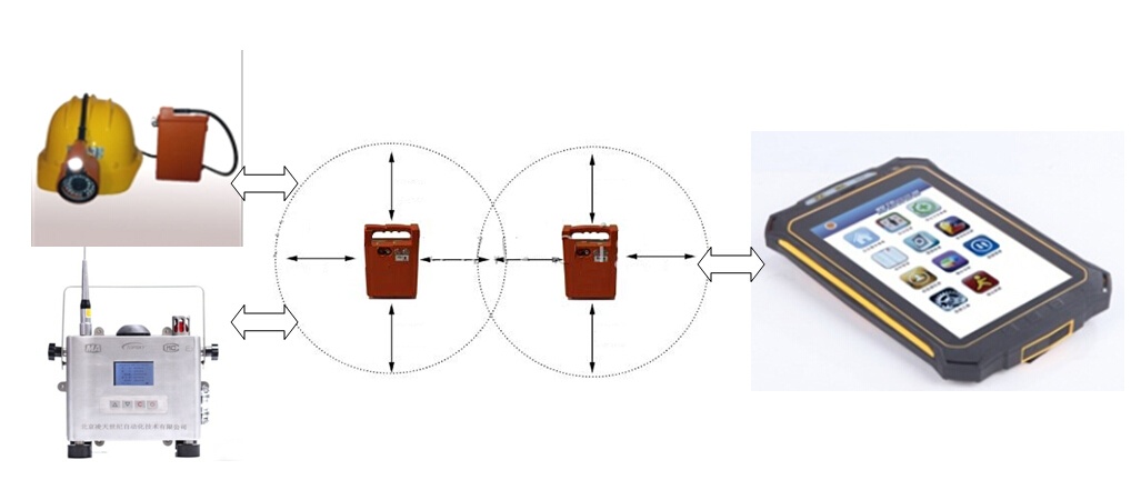 美女的隐藏部位是什么图片