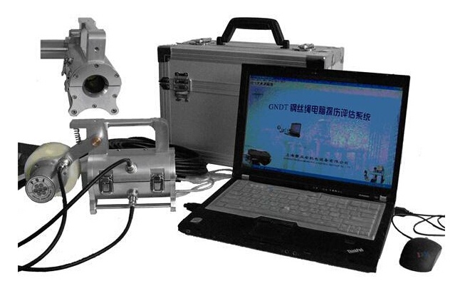 美女的隐藏部位是什么图片