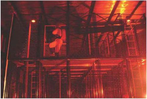 美女的隐藏部位是什么图片