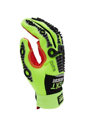 美女的隐藏部位是什么图片