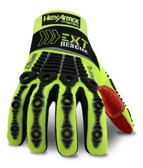 美女的隐藏部位是什么图片