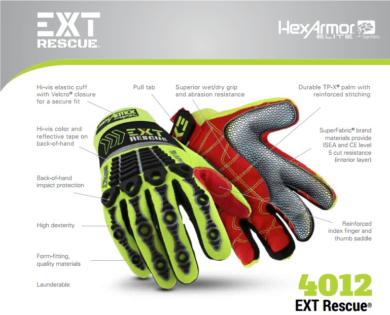 美女的隐藏部位是什么图片