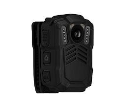 美女的隐藏部位是什么图片